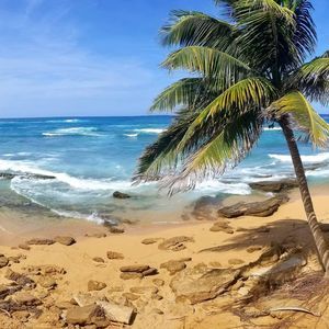 Meet your Posher, Nathan